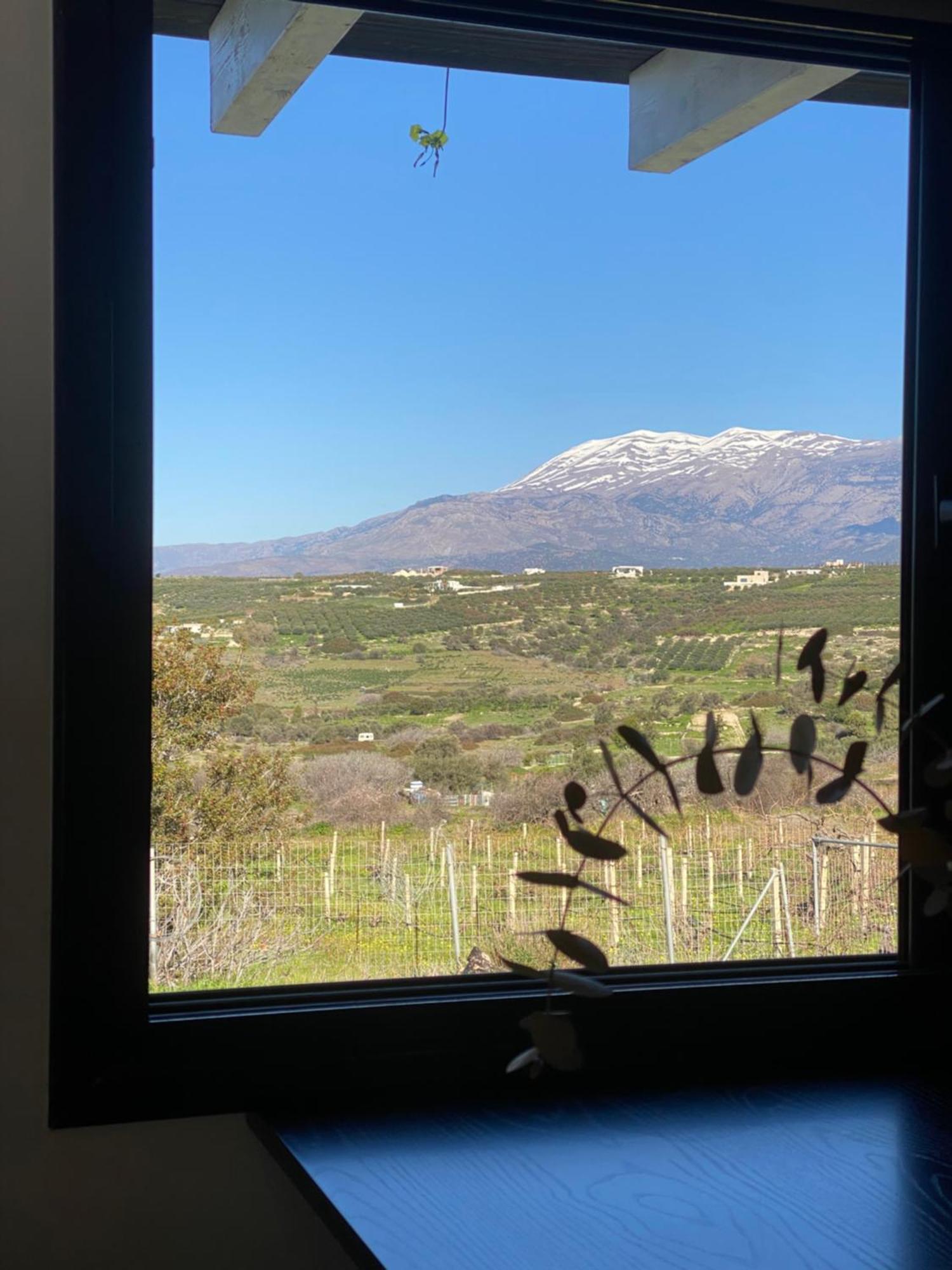 Apartment Komos View